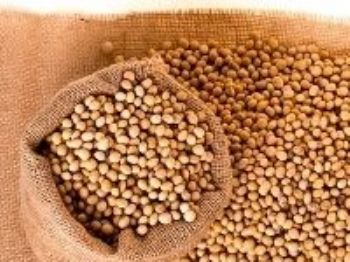 China geralmente compra grandes volumes de soja de maio a agosto.